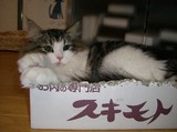 CIMG0738.JPG