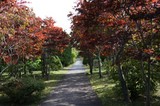 IMG_0195.JPG