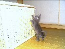 photo94.jpg