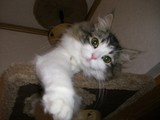 CIMG0457.JPG