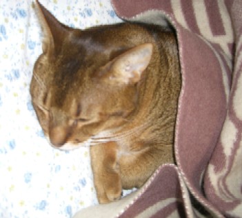 CIMG6885.JPG