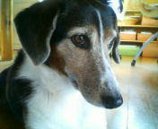 200611040920.jpg